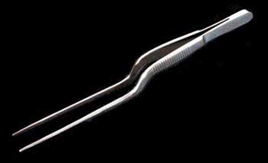 Picture of Lucae Ear Forceps - Deluxe